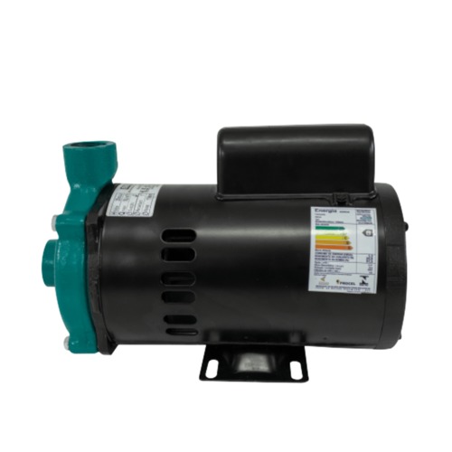 Motobomba 3,0 cv monof�sica 