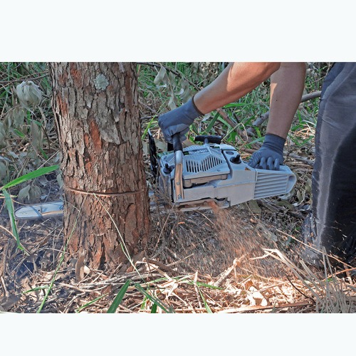 Motosserra a gasolina 61,5 cc com sabre de 20