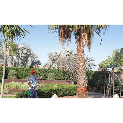 Podador de galhos a gasolina haste telesc�pica com sabre de 10