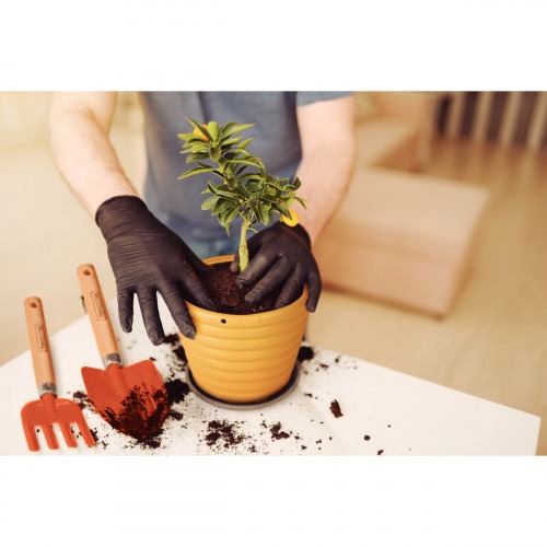 Pazinha larga com cabo de madeira Pazinha larga com cabo de madeira