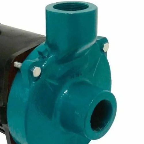 Motobomba centrifuga 1,0 cv monof�sica Standard - ECS-100MP  110V/220V