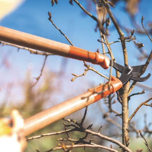 Tesoura corta galhos 23