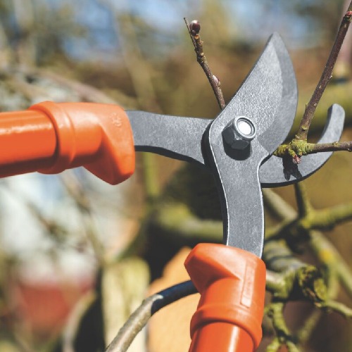 Tesoura corta galhos 23