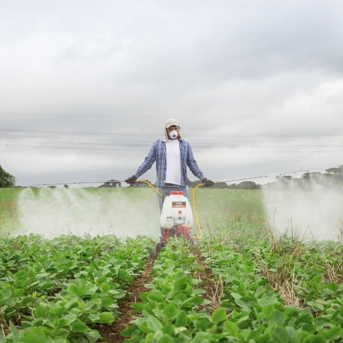 Pulverizador costal a gasolina 1 hp 25L com carrinho - PC260TKDL-Q