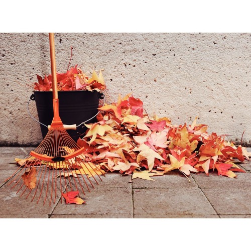 Vassoura metálica 22 dentes com cabo de 120 cm Vassoura metálica 22 dentes com cabo de 120 cm