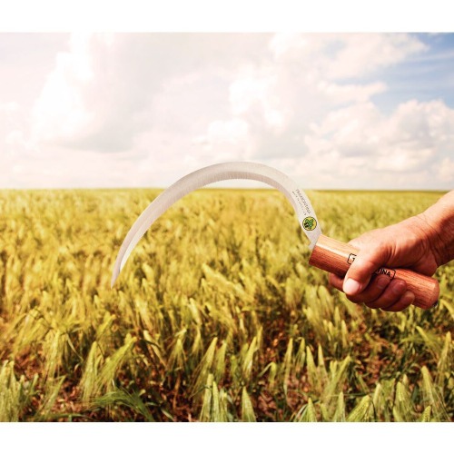 Foicinha com dente e cabo de madeira com 13 cm - 12 dentes por polegada