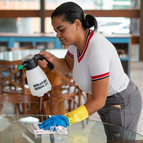 Pulverizador a bateria 1,5 L usb Practical