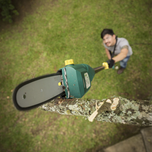 Podador de galhos el�trico 750W haste telesc�pica - PA750T  110V