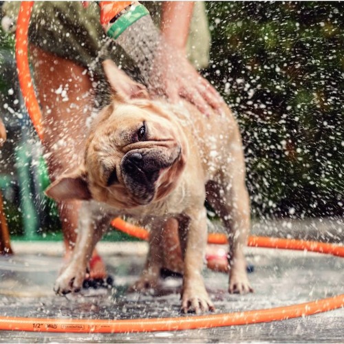 Mangueira para jardim 1/2