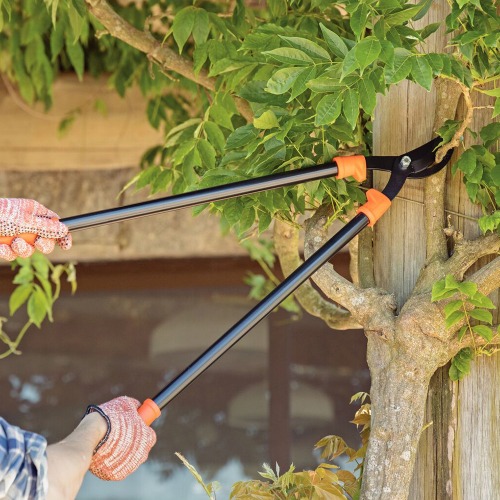 Tesoura para cortar galhos 29