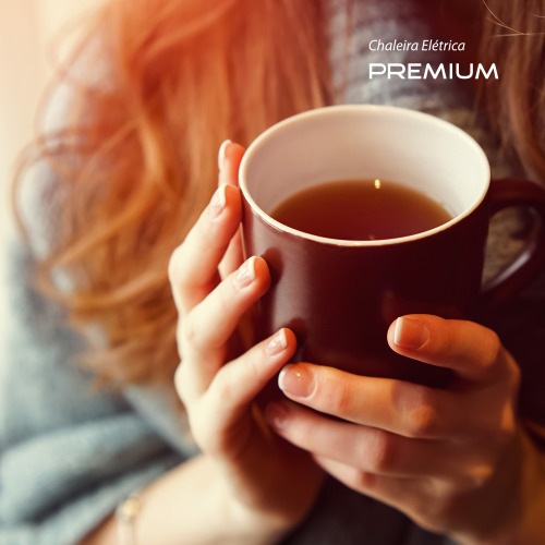 Chaleira el�trica 2 litros 1.200 watts Premium Inox - CE-06  110V