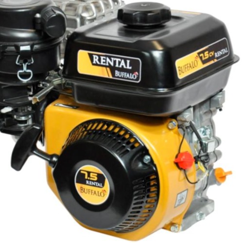 Motor a gasolina 7,5 hp 4T rental partida manual - BFG 7.5