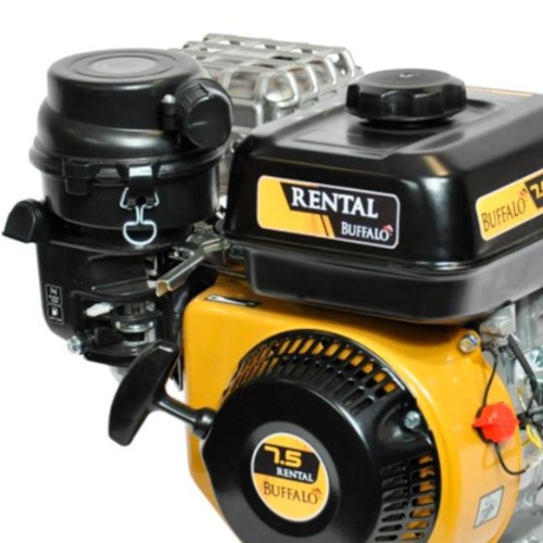 Motor a gasolina 7,5 hp 4T rental partida manual - BFG 7.5