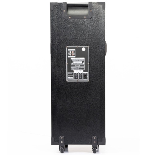 Caixa de som amplificada 1100W RMS com 2 Woofers 8