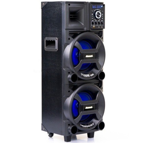 Caixa de som amplificada 1100W RMS com 2 Woofers 8