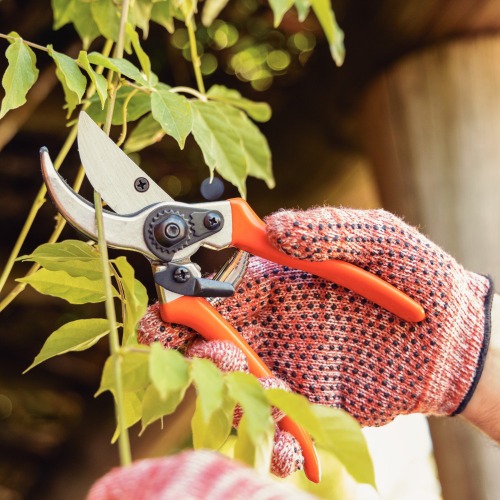 Tesoura para poda manual 21 cm cabo em alum�nio - 78304/511