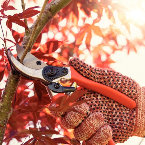 Tesoura para poda manual 21 cm cabo em alum�nio - 78304/511