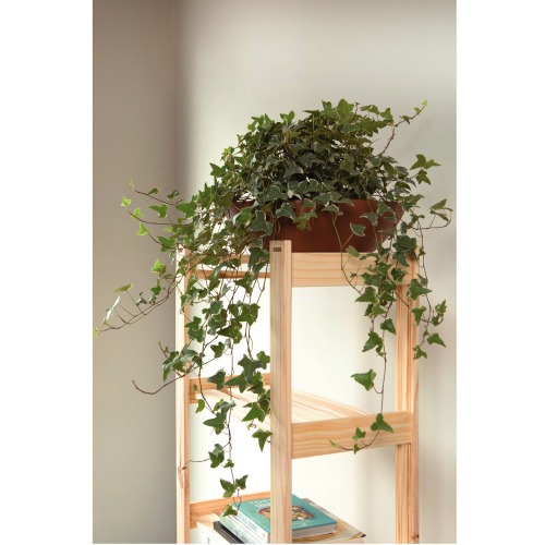 Estante Modulare em madeira pinus com 4 prateleiras 62,2 x 30,2 x 107,2 cm Estante Modulare em madeira pinus com 4 prateleiras 62,2 x 30,2 x 107,2 cm