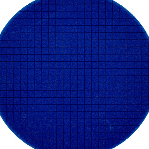 Boina de espuma square para roto orbital 8