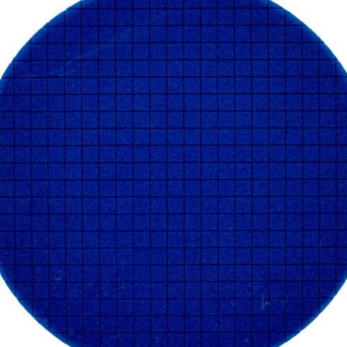 Boina de espuma square para roto orbital 5 Boina de espuma square para roto orbital 5