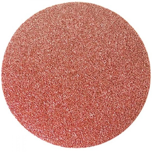 Disco de Lixa com velcro 125 mm com 10 pe�as - 738359