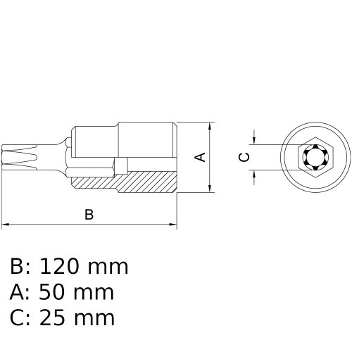 Soquete com ponta hexalobular t-55 encaixe 1/2