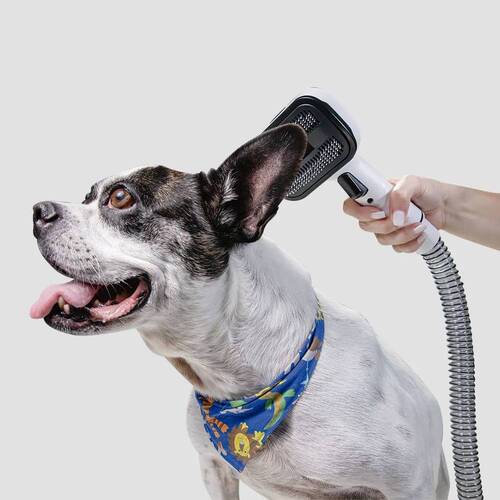 Aspirador de Pelos e Tosador para pets - Pet Clean 110V Aspirador de Pelos e Tosador para pets - Pet Clean 110V