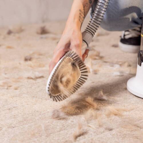 Aspirador de Pelos e Tosador para pets - Pet Clean 110V Aspirador de Pelos e Tosador para pets - Pet Clean 110V