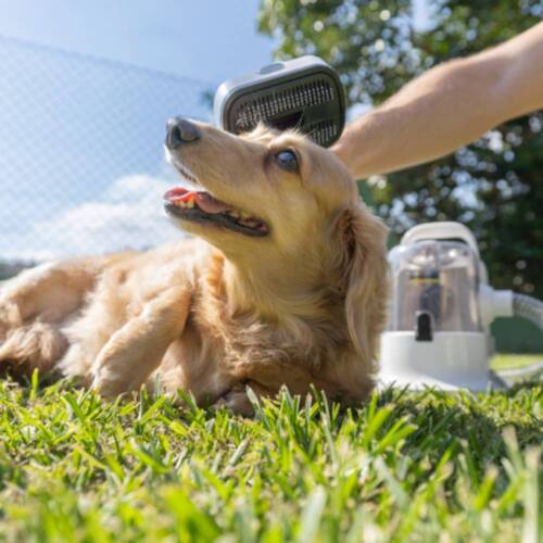 Aspirador de Pelos e Tosador para pets - Pet Clean 110V Aspirador de Pelos e Tosador para pets - Pet Clean 110V