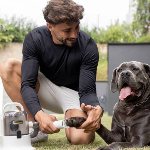 Aspirador de Pelos e Tosador para pets - Pet Clean 110V Aspirador de Pelos e Tosador para pets - Pet Clean 110V