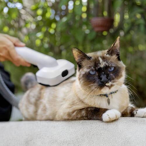 Aspirador de Pelos e Tosador para pets - Pet Clean 110V Aspirador de Pelos e Tosador para pets - Pet Clean 110V