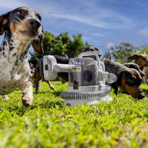 Aspirador de Pelos e Tosador para pets - Pet Clean 110V Aspirador de Pelos e Tosador para pets - Pet Clean 110V