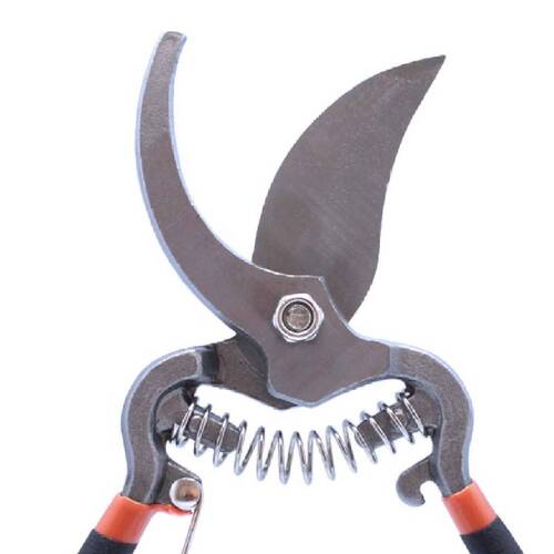 Tesoura para poda manual bico curvo 8