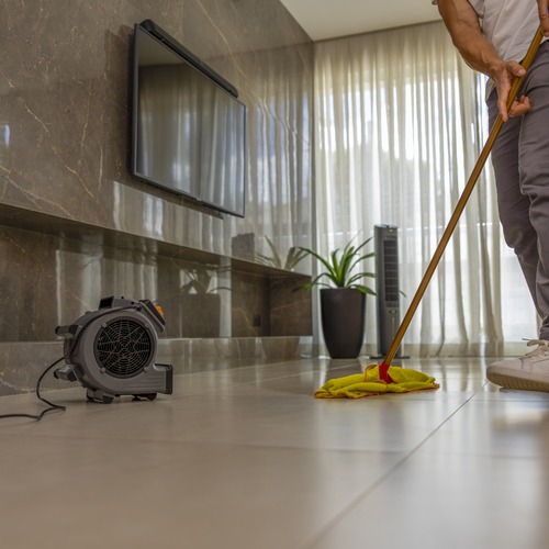 Ventilador e secador de pisos 200W com tr�s n�veis de velocidade - DRY MAX  220V