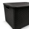 Kit 2 Caixas organizadoras com tampa 15 litros - Rattan
