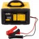 Carregador inteligente de bateria 6/12V - CIB 300  220V