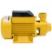 Motobomba perif�rica 1 hp bivolt - Acquapump  110V/220V