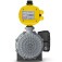 Bomba pressurizadora com pressostato eletr�nico 3/4 cv - Impulse Press  220V