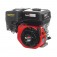 Motor a gasolina 6,5 hp 196 cc 4 tempos partida manual 004-200 - TE65-X