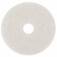 569943_disco_superpolidor_de_fibra_para_enceradeira_350_mm_branco_hb004823553