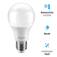 L�mpada led bulbo 7W 540 l�mens branca fria - LEDA55  110V/220V